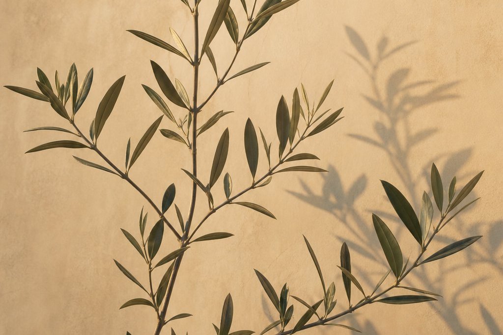 A branching olive stem — the Branch phase
